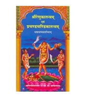 Sri Renuka Tantram evam Prachand Chandika Tantram श्रीरेणुकातन्त्रम् एवं प्रचण्डचंडिकातन्त्रम्